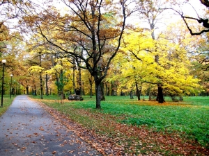 Autumn in Kadriorg park