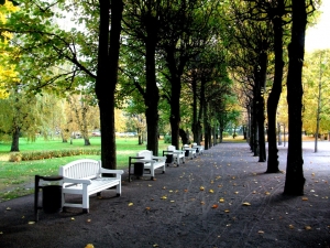 Alley in Kadriorg park