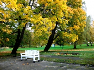 Autumn in Kadriorg park