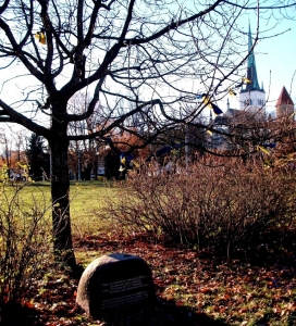 View from the memorial oak tree to T.G. Shevchenko in november