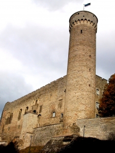 Tower Long Herman