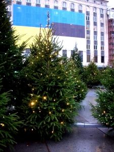 Christmas trees on Freedom Square