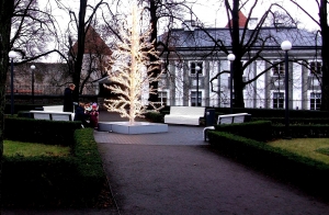 Christmas tree near the parliament