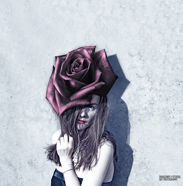 Mystic Rose