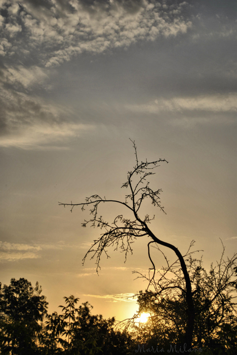 Puesta del sol