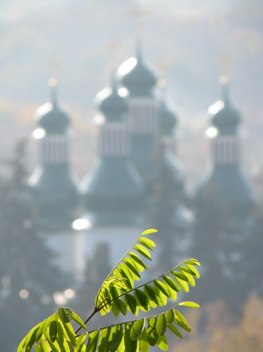 Китаево церковь, ветка, осень, китаево, купол