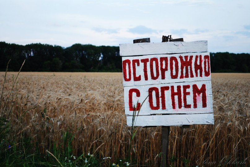 Поле