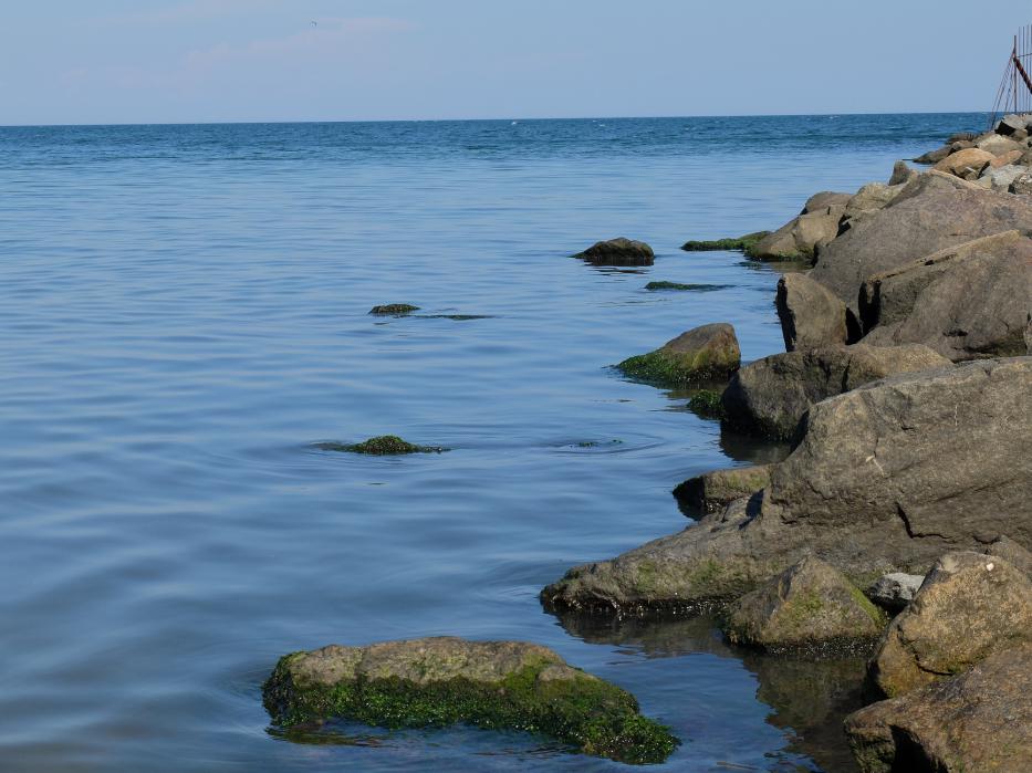 ...Черное море