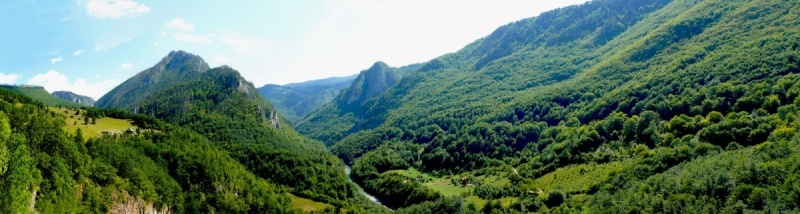 Каньон реки Тара горы, природа, лес, река