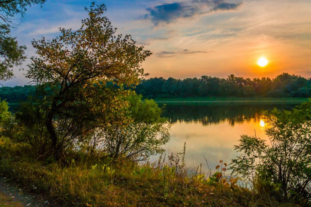 Зачарована Десна