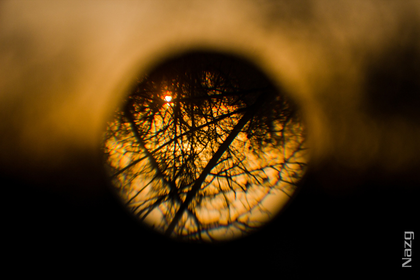 Orange Sunrise