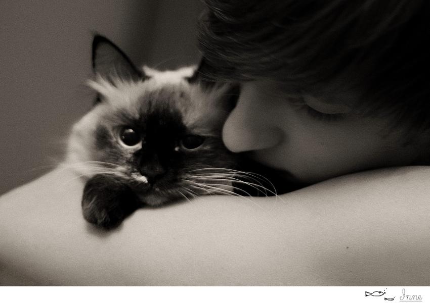 ...sweet dream