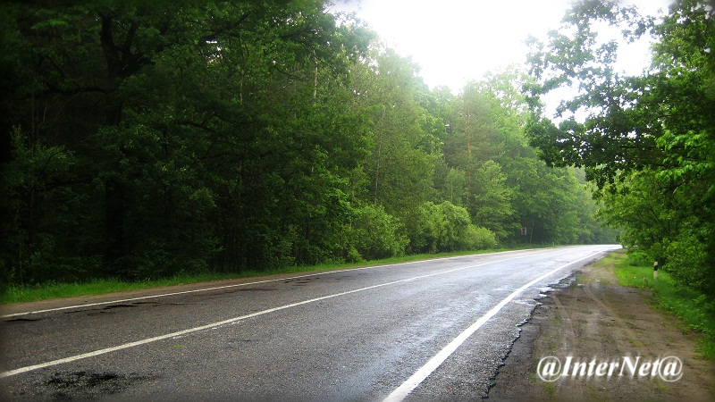 Дорога в лесу дорога, лес