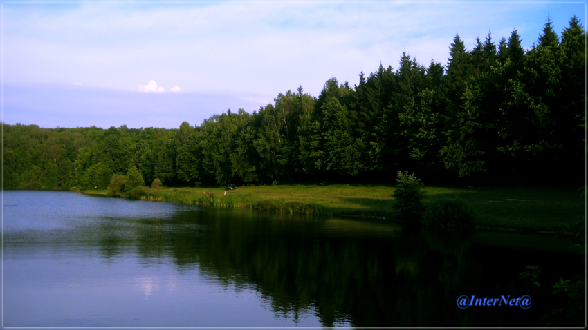 лесное озеро природа, пейзаж, лес, озеро