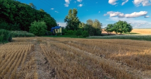 ...+++