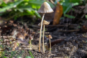 Գ����� �������� ������ �������...