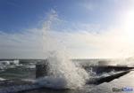 Just black sea