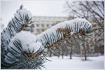 Winter / .