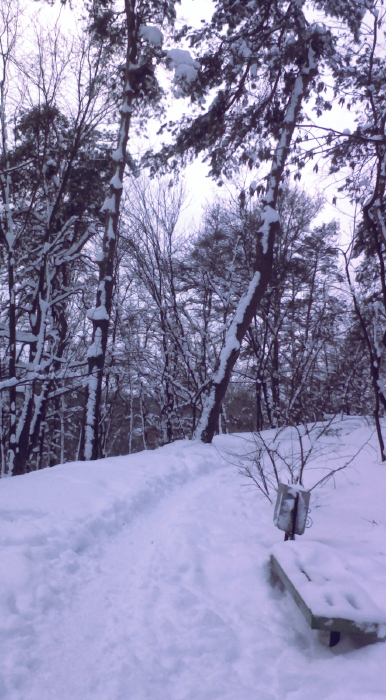 снег