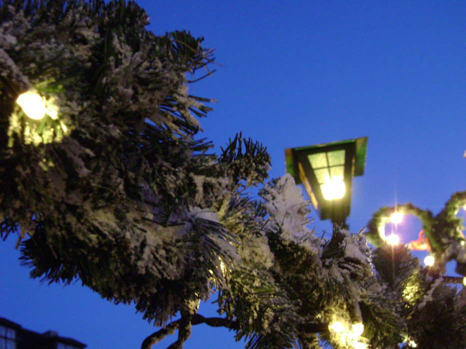Cristmas lights
