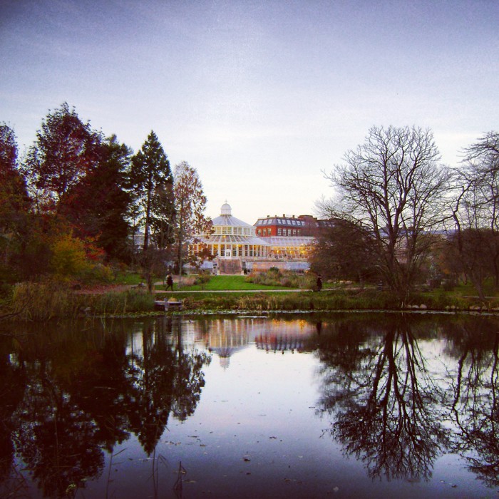 botanical garden
