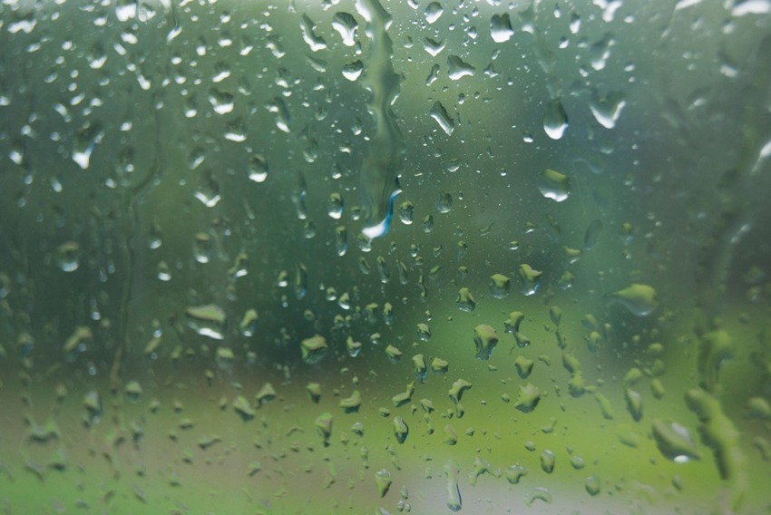 Rain