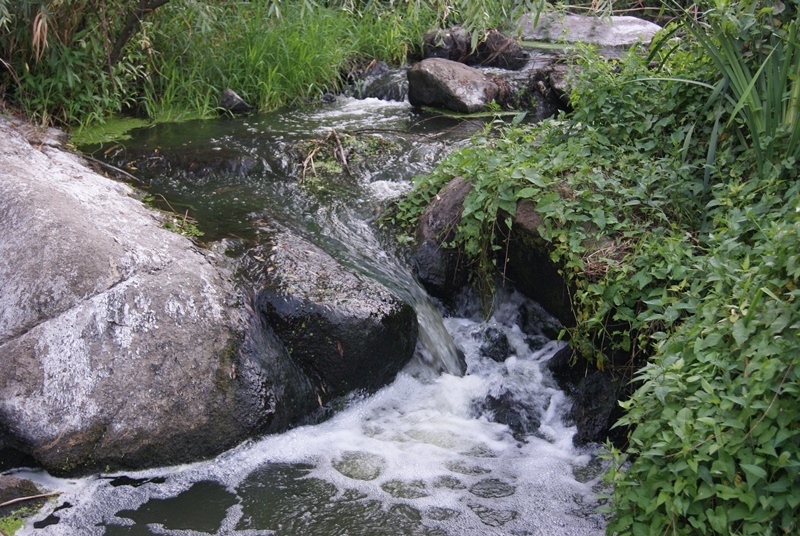 Водограй