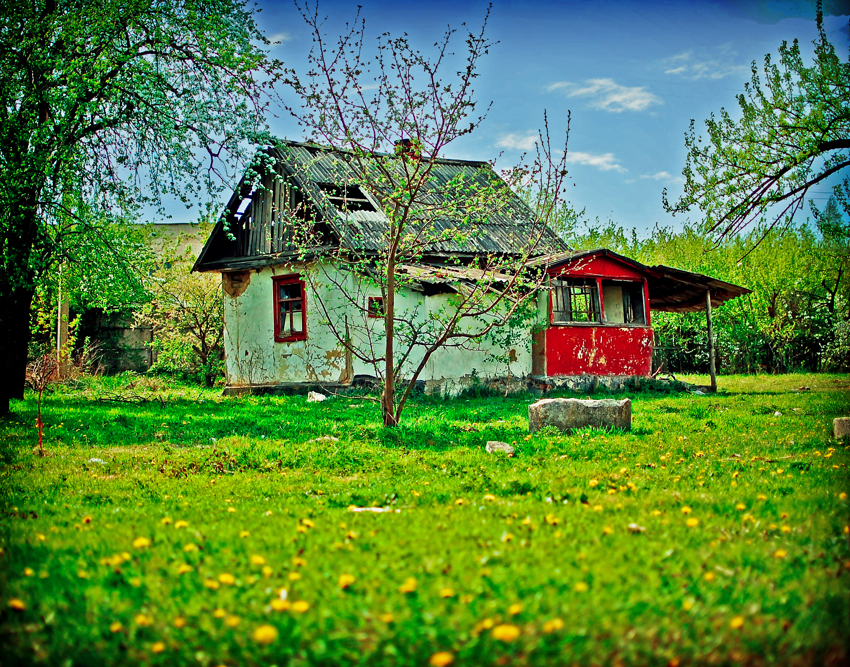 дом, весна