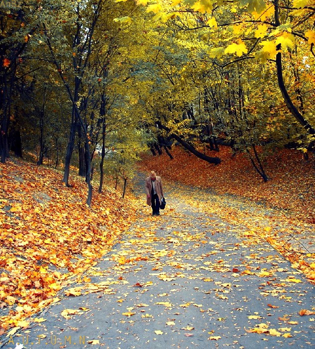 ос дедушка, осень, парк, прогулка