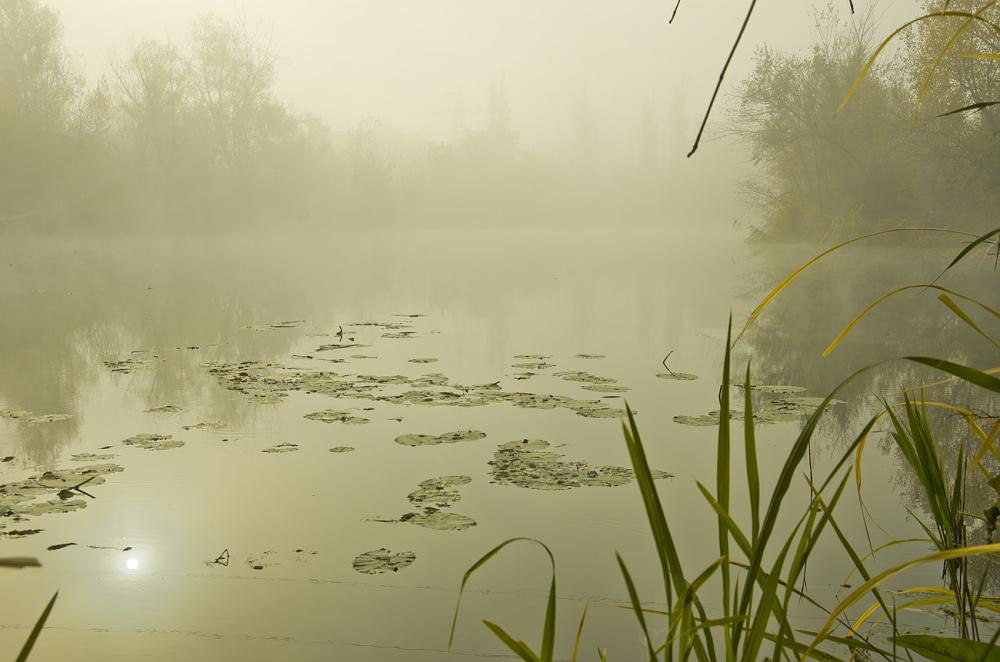 ... октябрь, река, туман осінь
