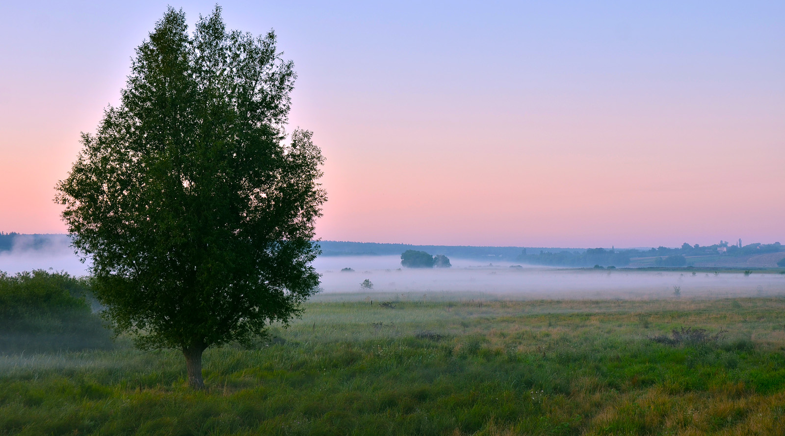 ... літо, август, туманний ранок, серпень
