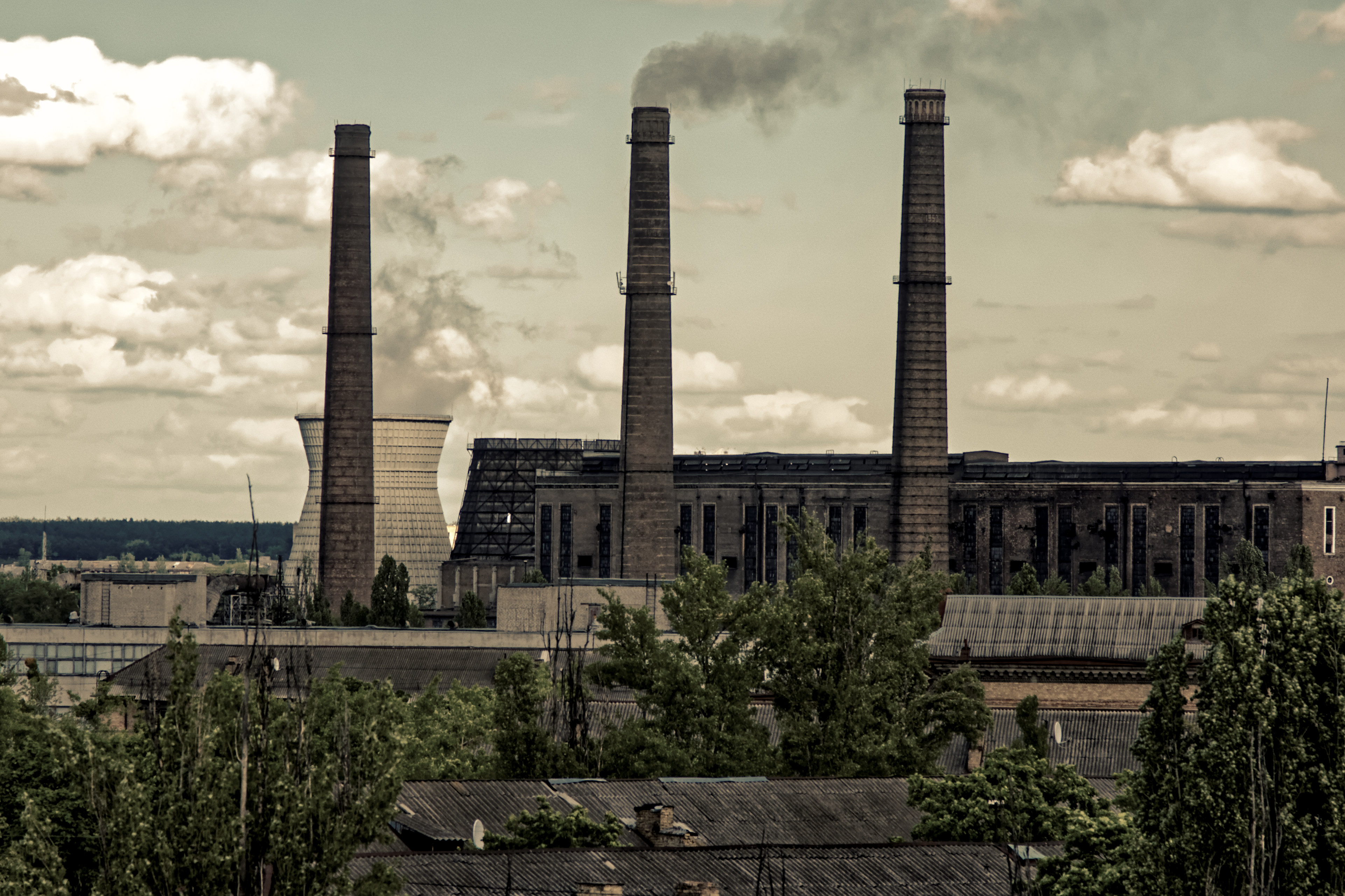 pipes; pipe; tree; roof; day; sk