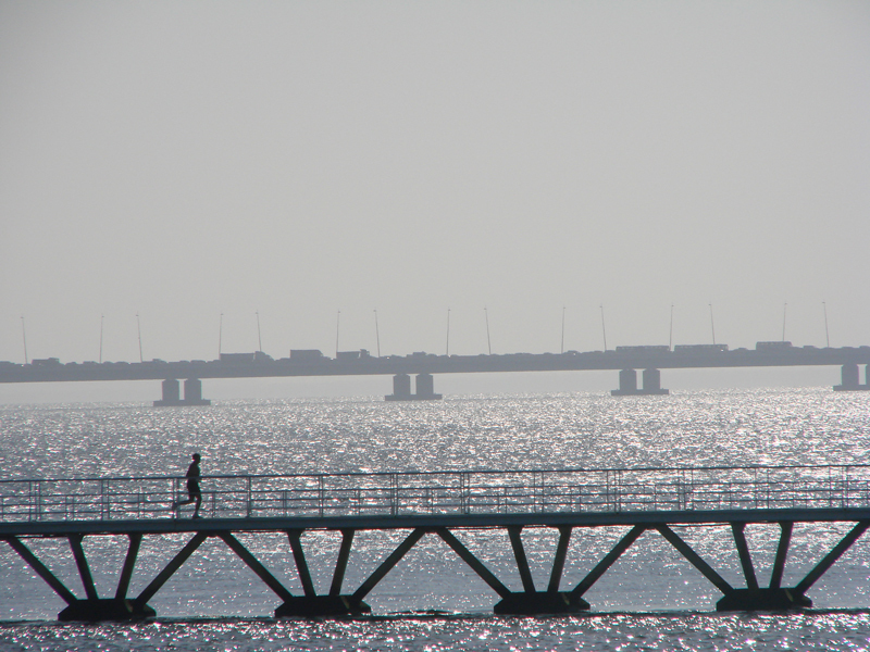 бегущий над водой утро, мост, море, спорт, бег, вода