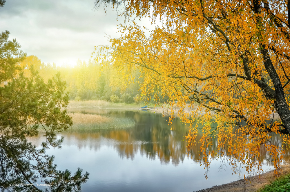 Золотая осень отражение, природа, осень, озеро