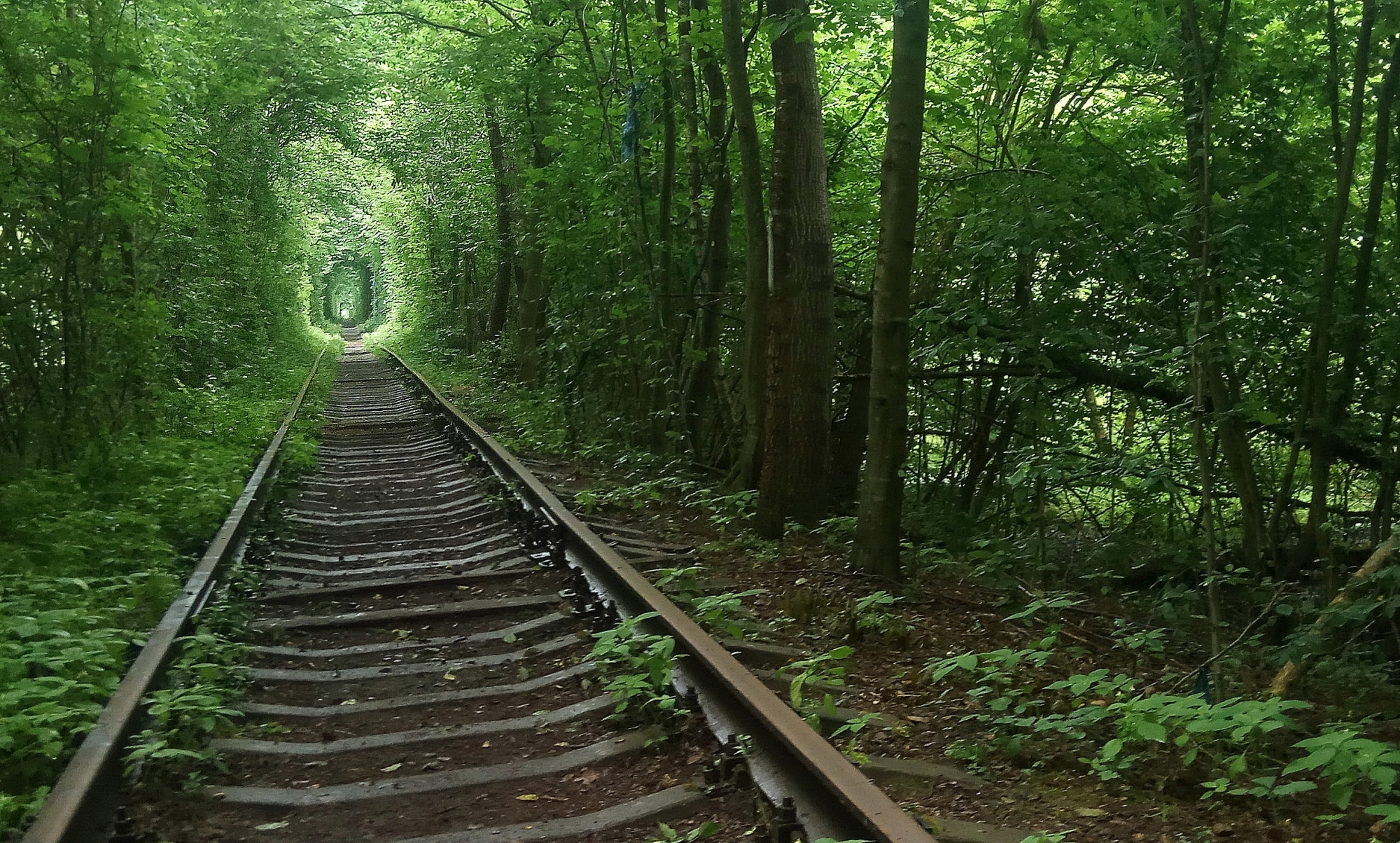 Tunnel of Love