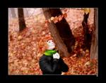 orange fall