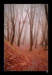 fairy tale