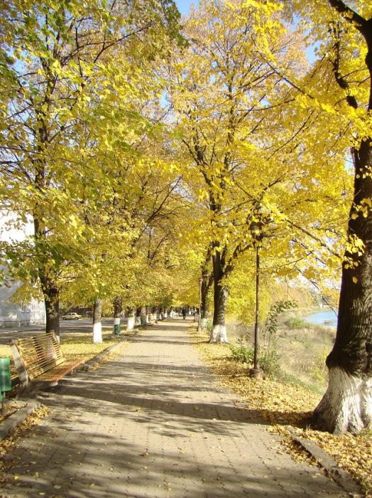 золотая осень