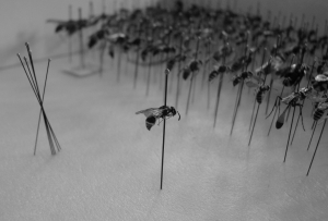 memento mori