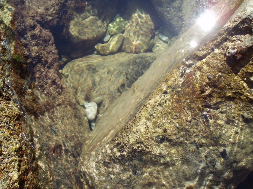 на дне море, камни, вода