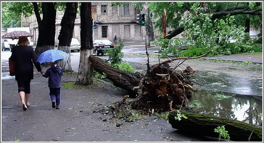 ПОСЛЕ ДОЖДИЧКА В ЧЕТВЕРГ.