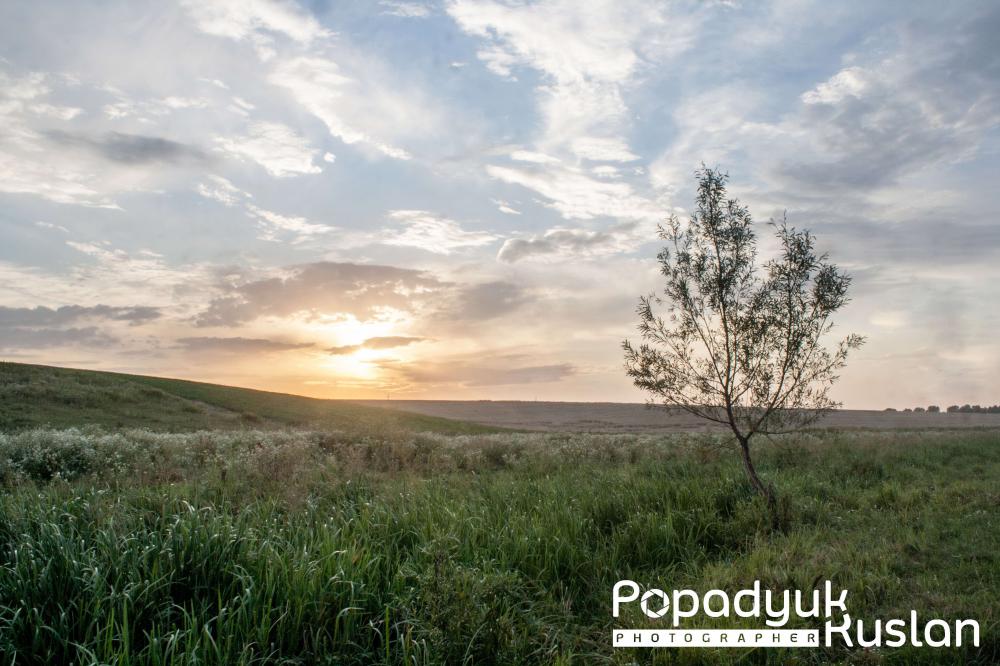 Закат закат, природа, дерево, пейзаж, небо