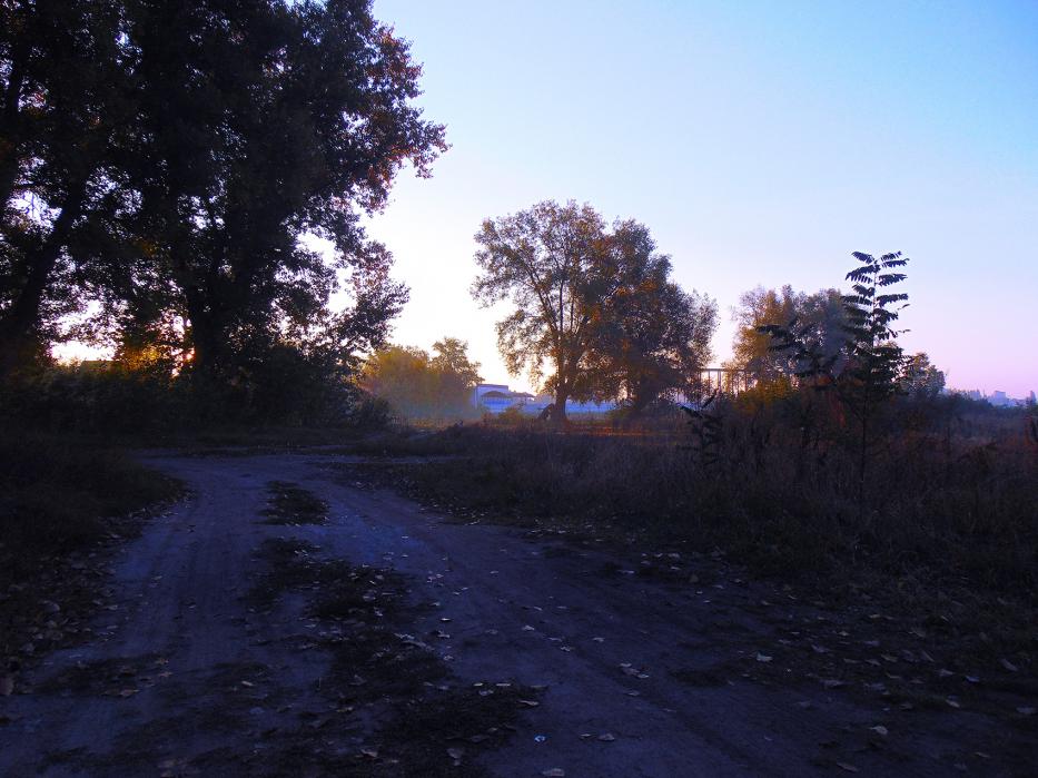 УТРЕННИЙ СВЕТ