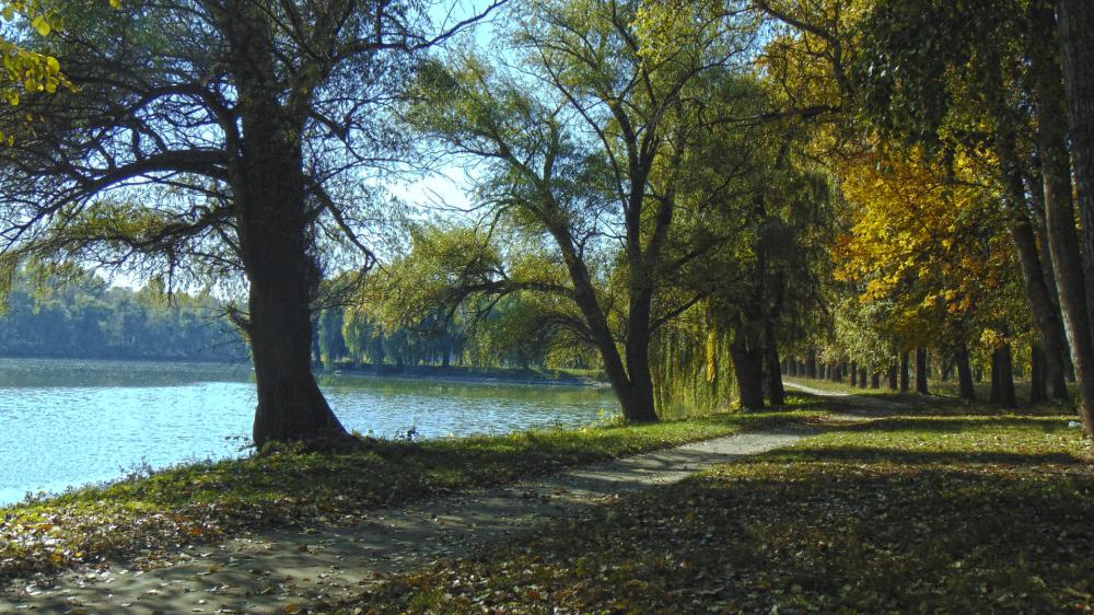 ...Осенний парк