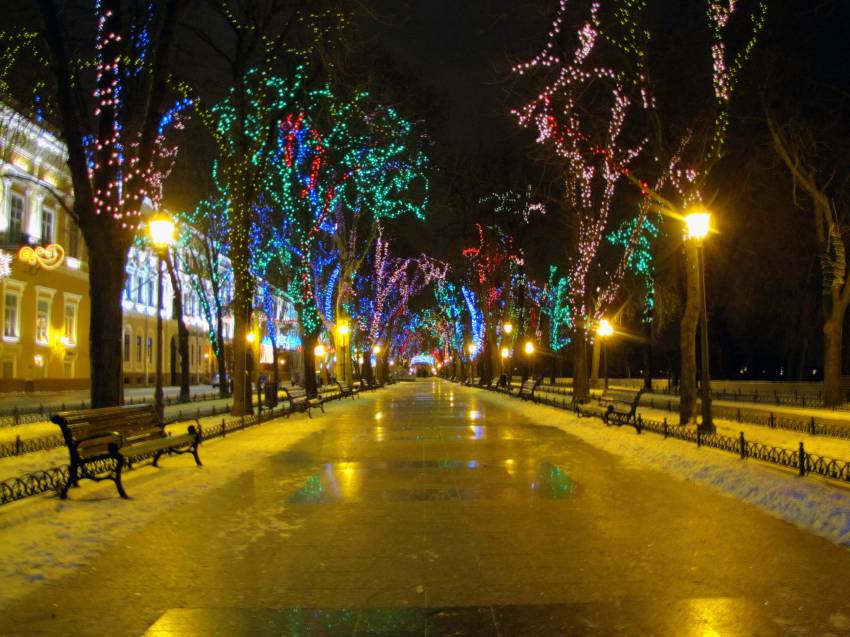 Конфетні дерева