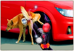  - ,    ...