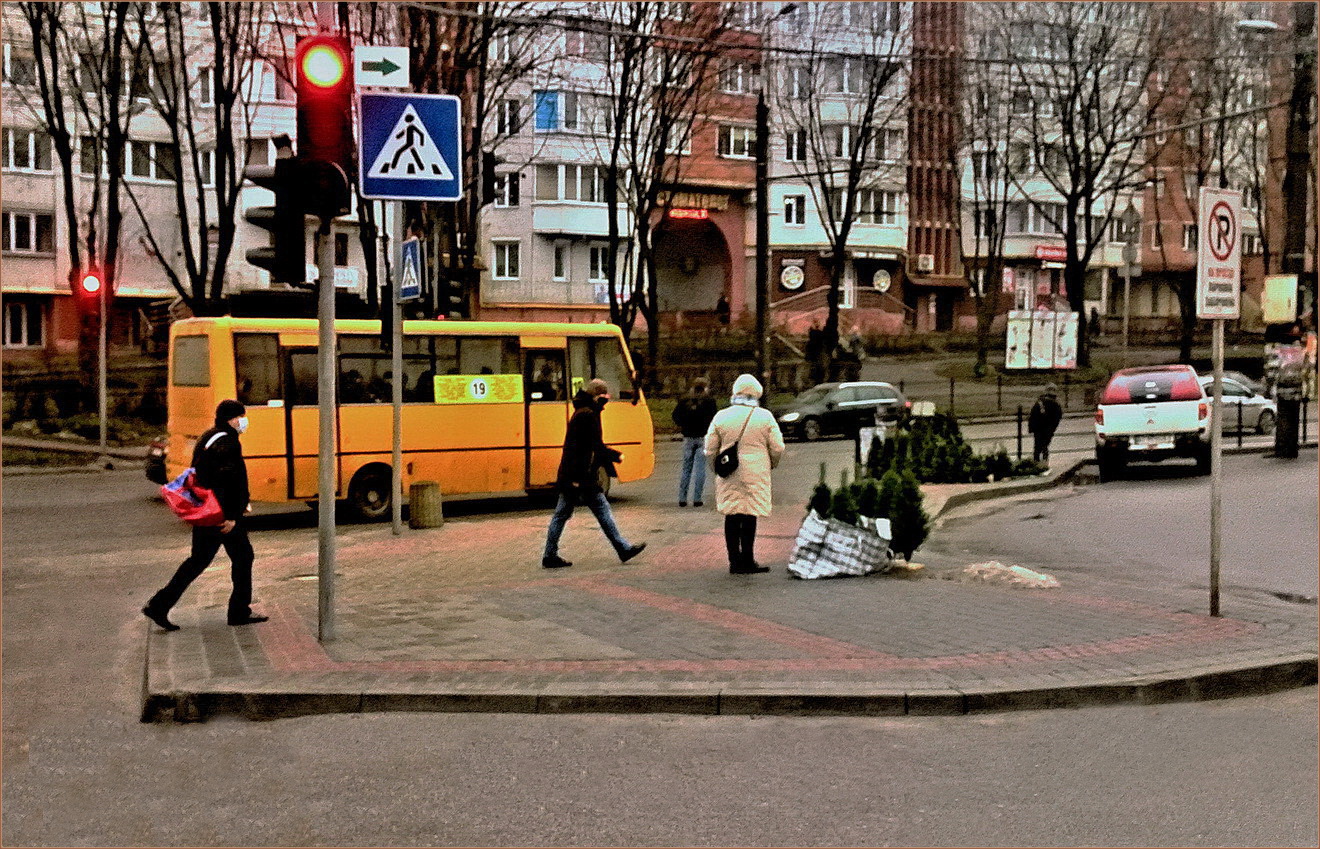 Нечислена передноворічна міська буденість...