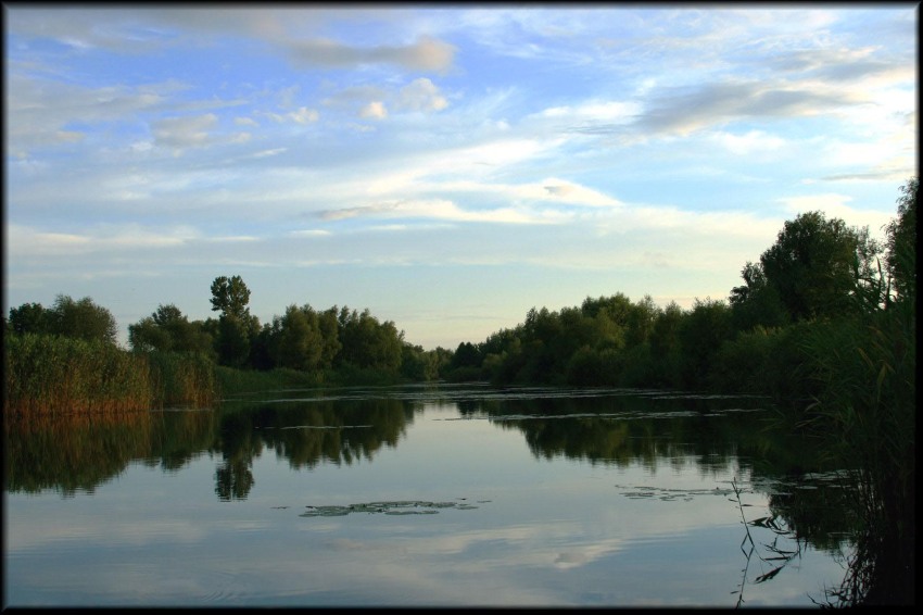 река Хорол природа, пейзаж, река