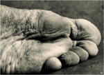 Imprint