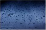 drops rain...